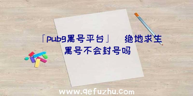 「pubg黑号平台」|绝地求生黑号不会封号吗